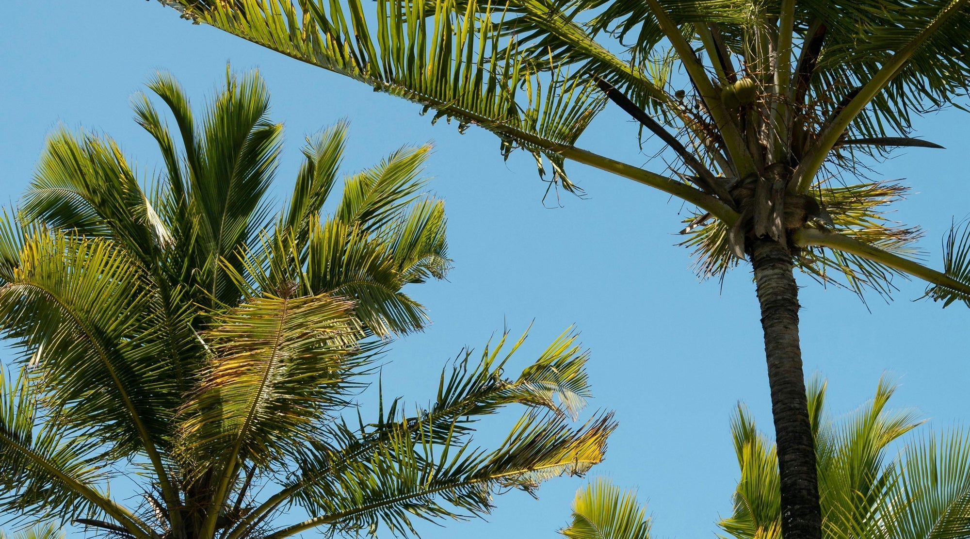 A Tour of Trancoso