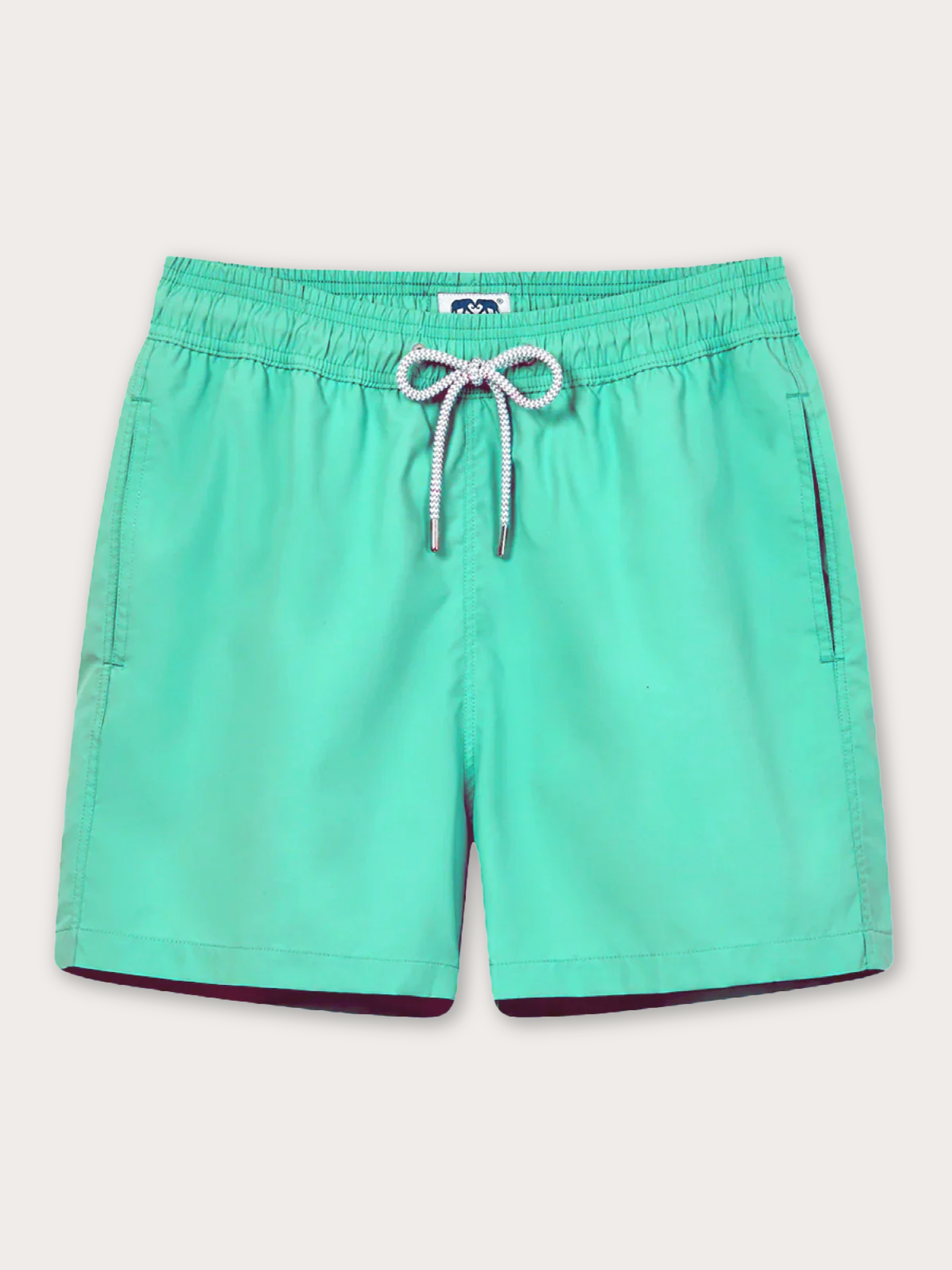 A pair of men's swim shorts in a vibrant mint green color, featuring an elastic waistband with a white and gray patterned drawstring, side pockets, and a subtle dark purple lining at the hem, shown against a light beige background.