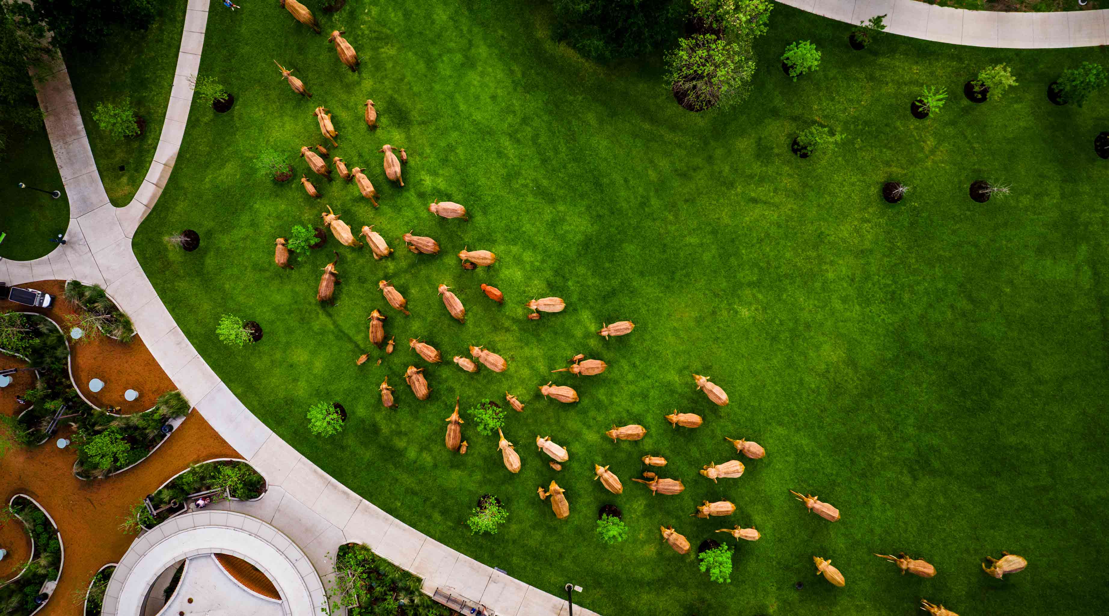 Aerial view of the elephant statues in Houston.