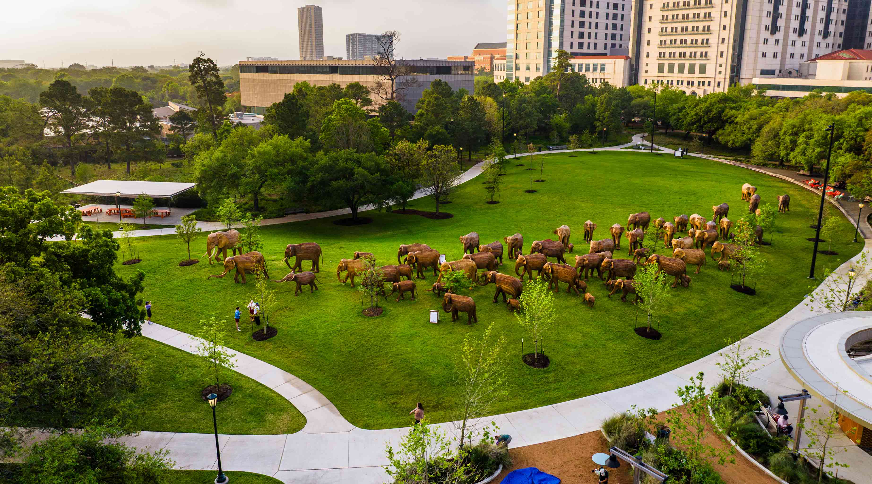 The Great Elephant Migration 2025 kicks of in Houston, Texas.