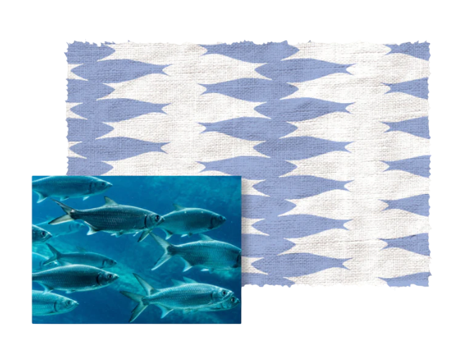 dishy fishy print