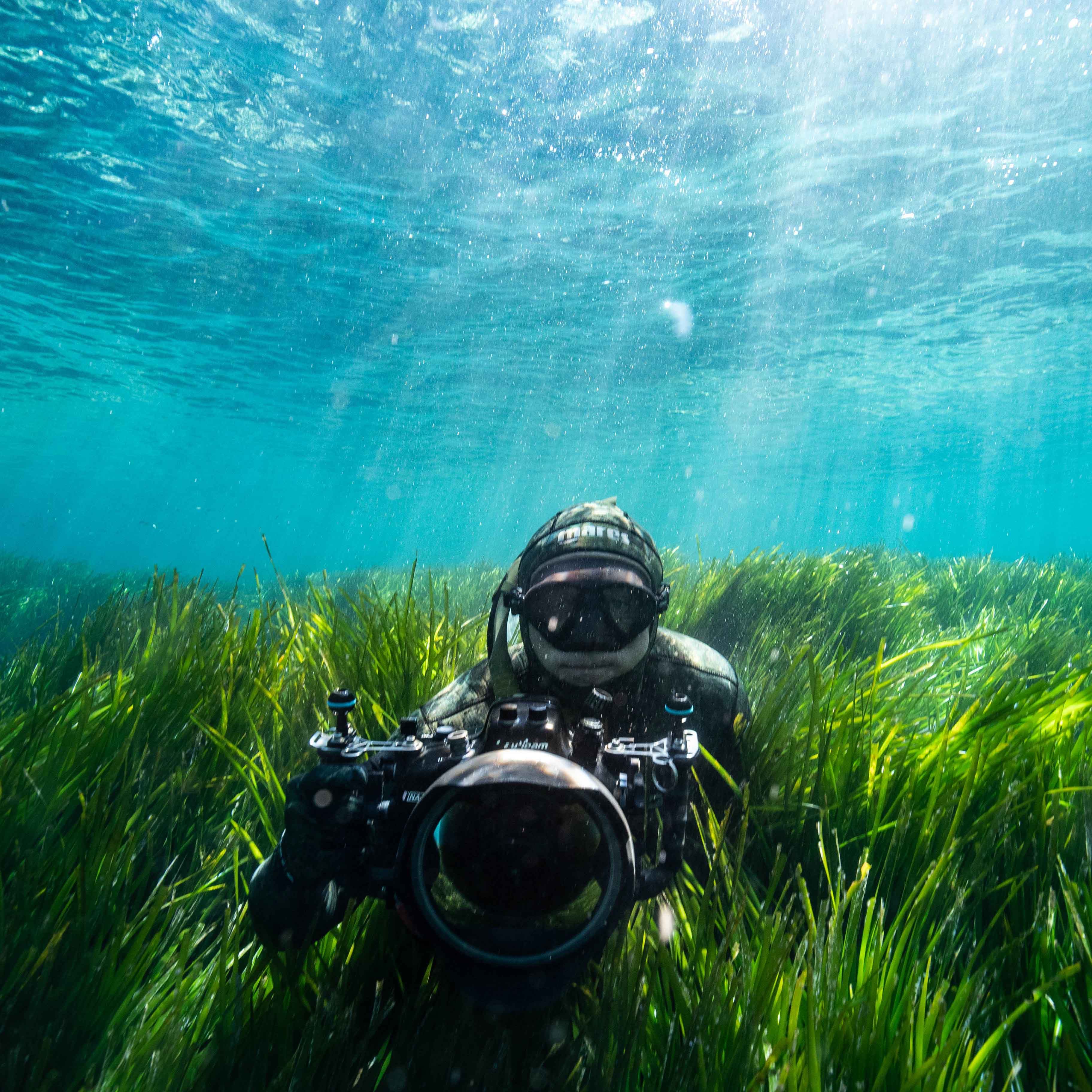 Manu San Felix dives underwater to photograph posidonia seagrass