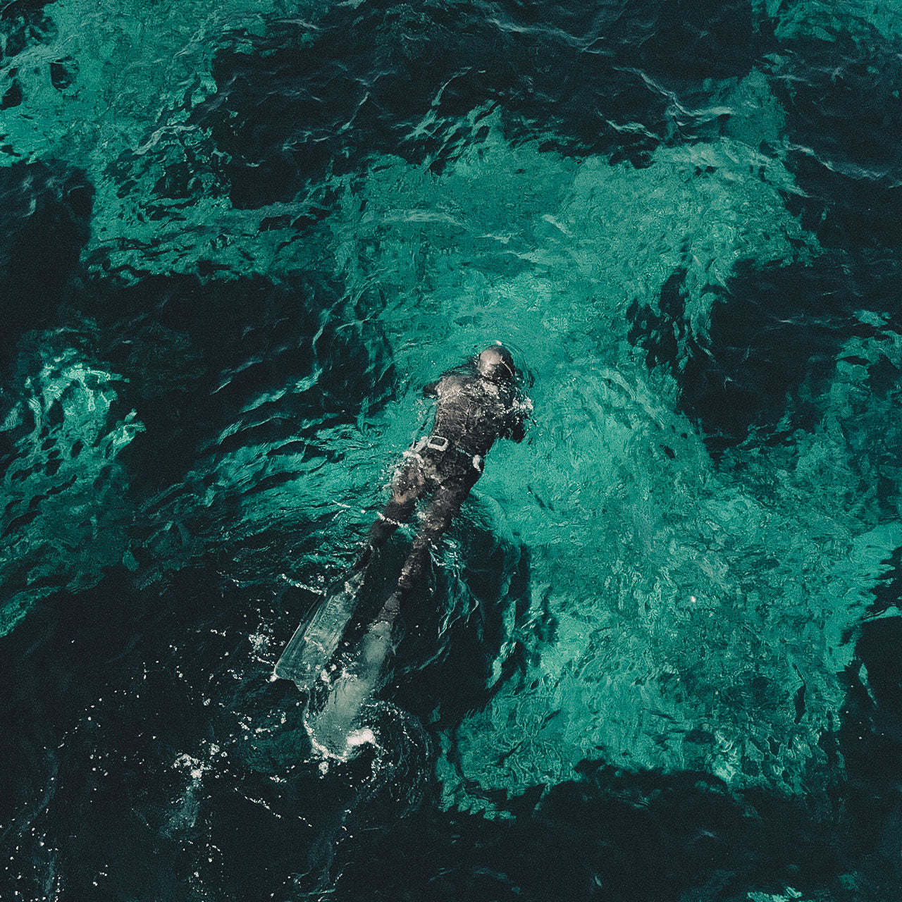 Manu San Felix diving through seagrass
