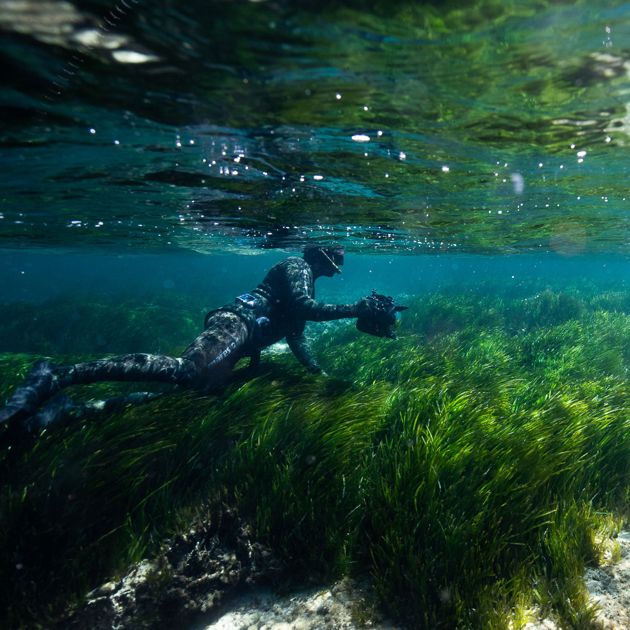 Manu San Felix diving underwater with the posidonia seagrass of Ibiza