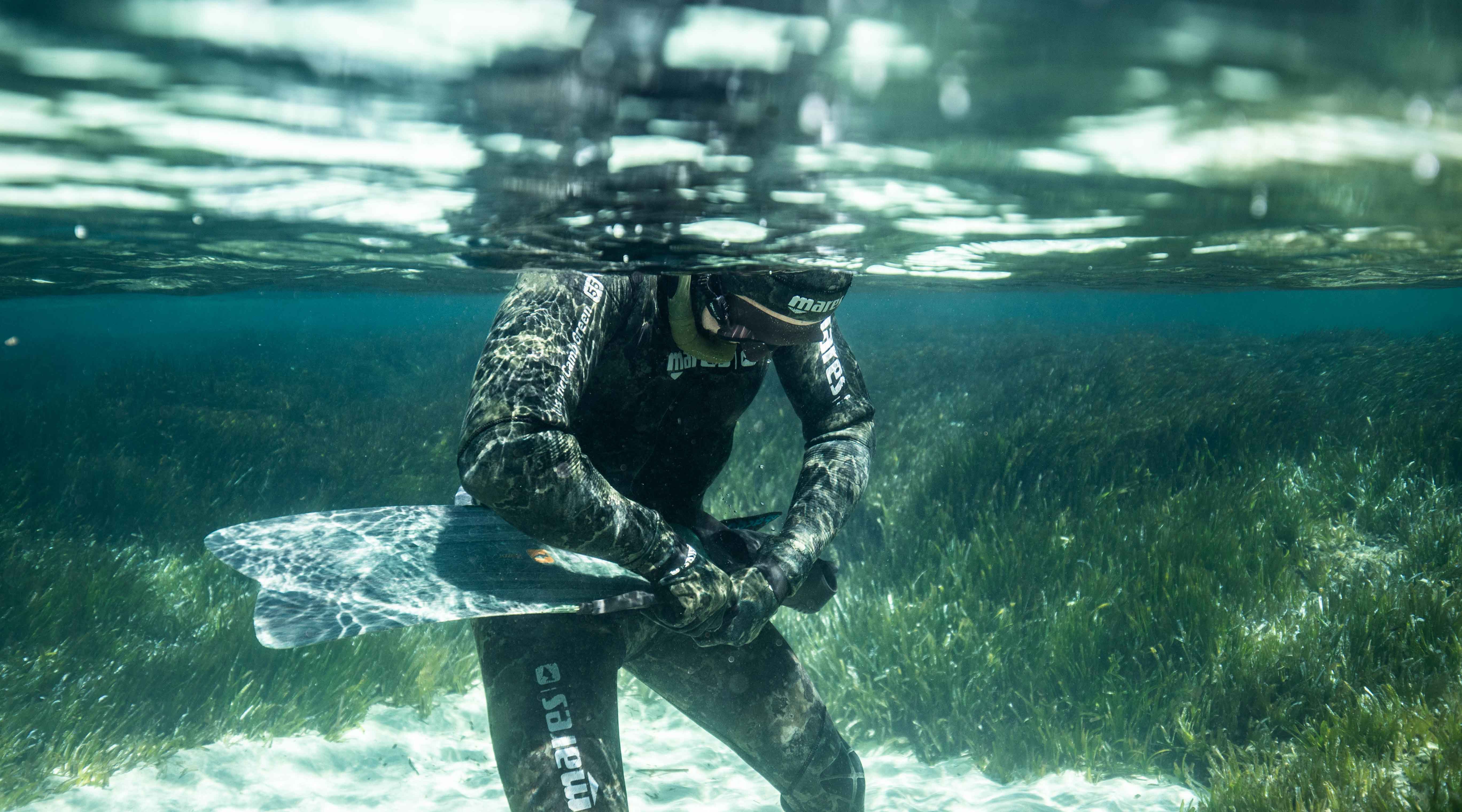 underwater shot taken at one of Manu San Felix's posidonia seagrass conservation projects