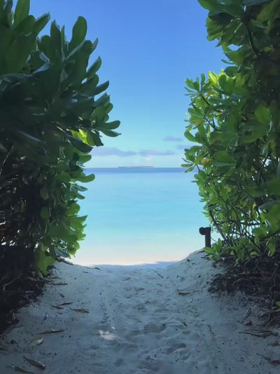 a beach in sunlight