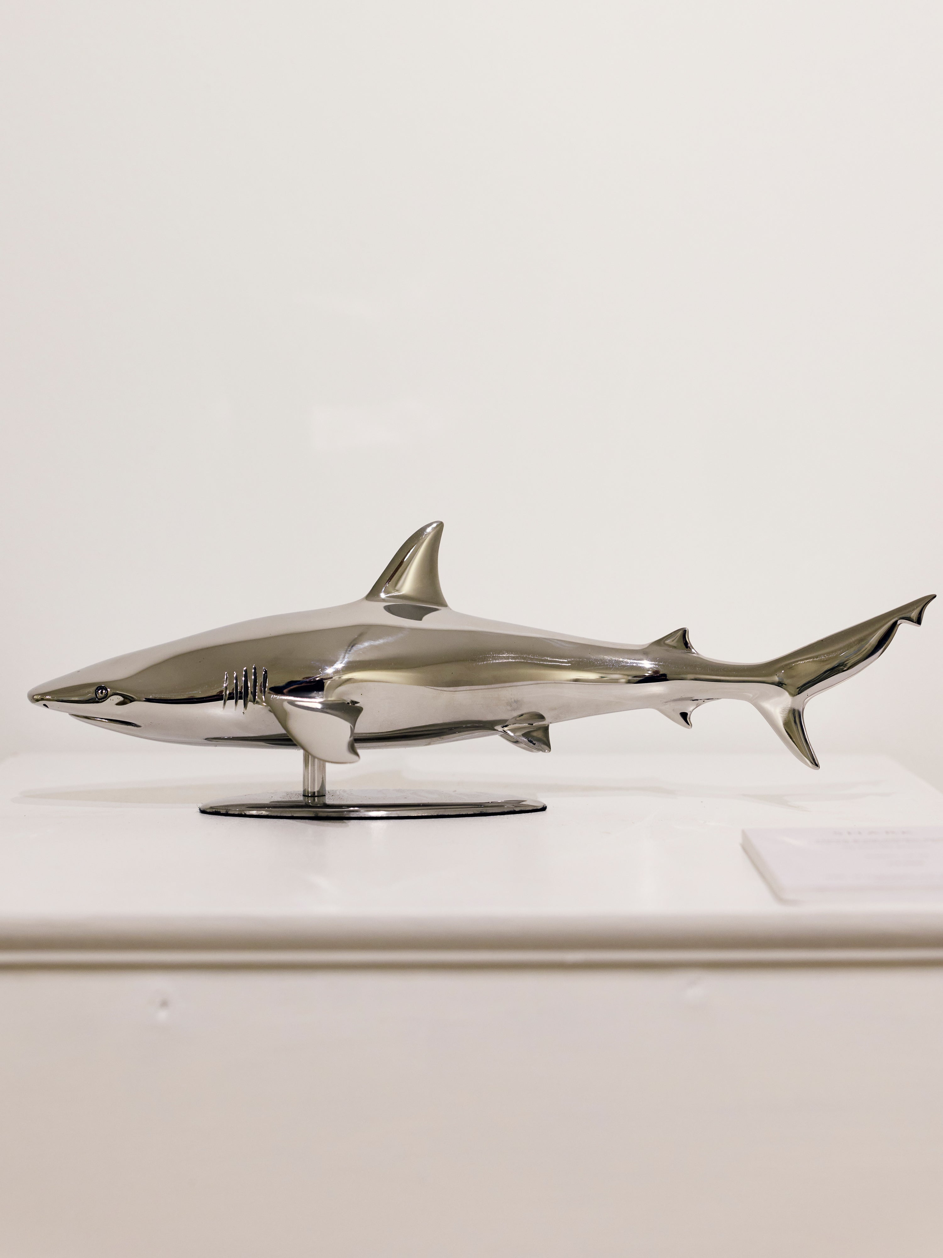 shark sculpture against white background