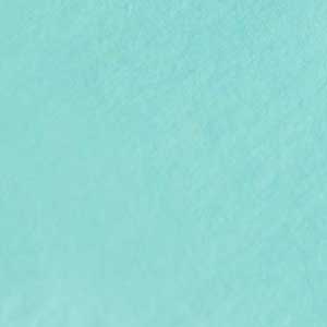 cay green cotton swatch